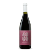 Budeguer Reserva 4000 Pinot Noir