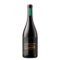 Viña Alta Casual Reserva Malbec
