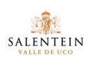 SALENTEIN