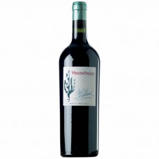 Yacochuya Malbec