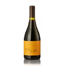 Zuccardi Emma Bonarda
